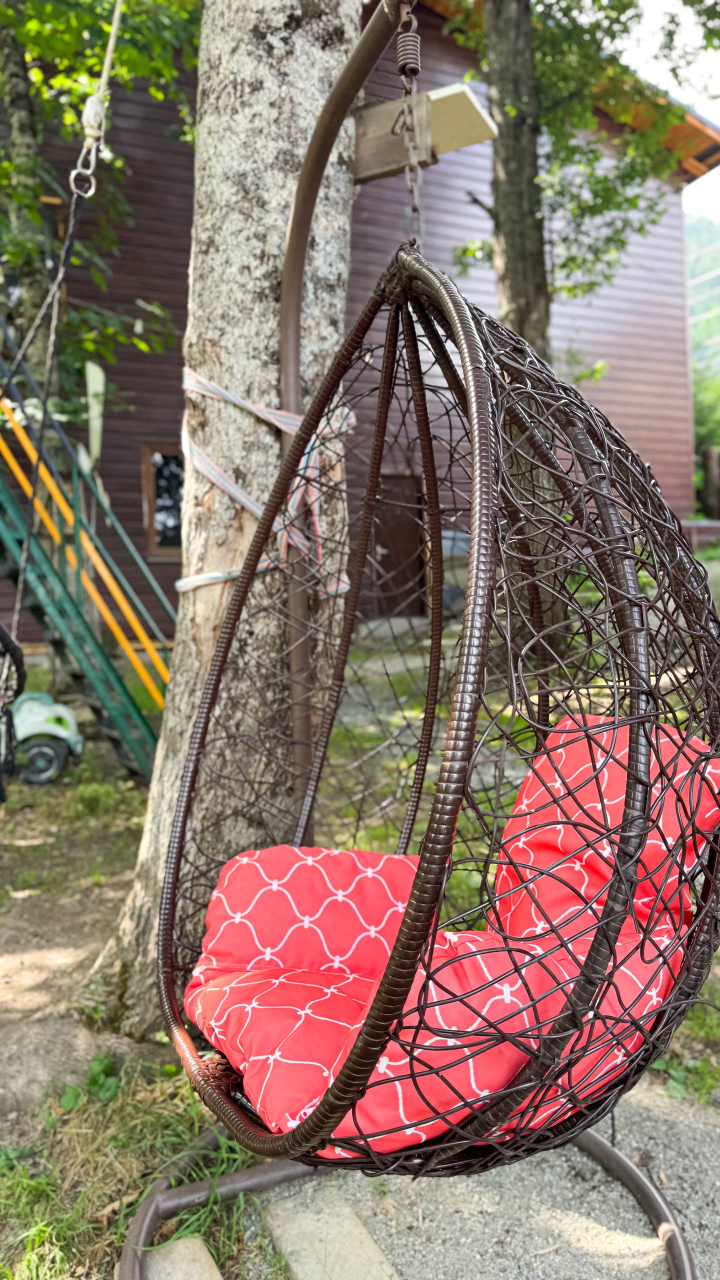 Фото Золотой Орёл