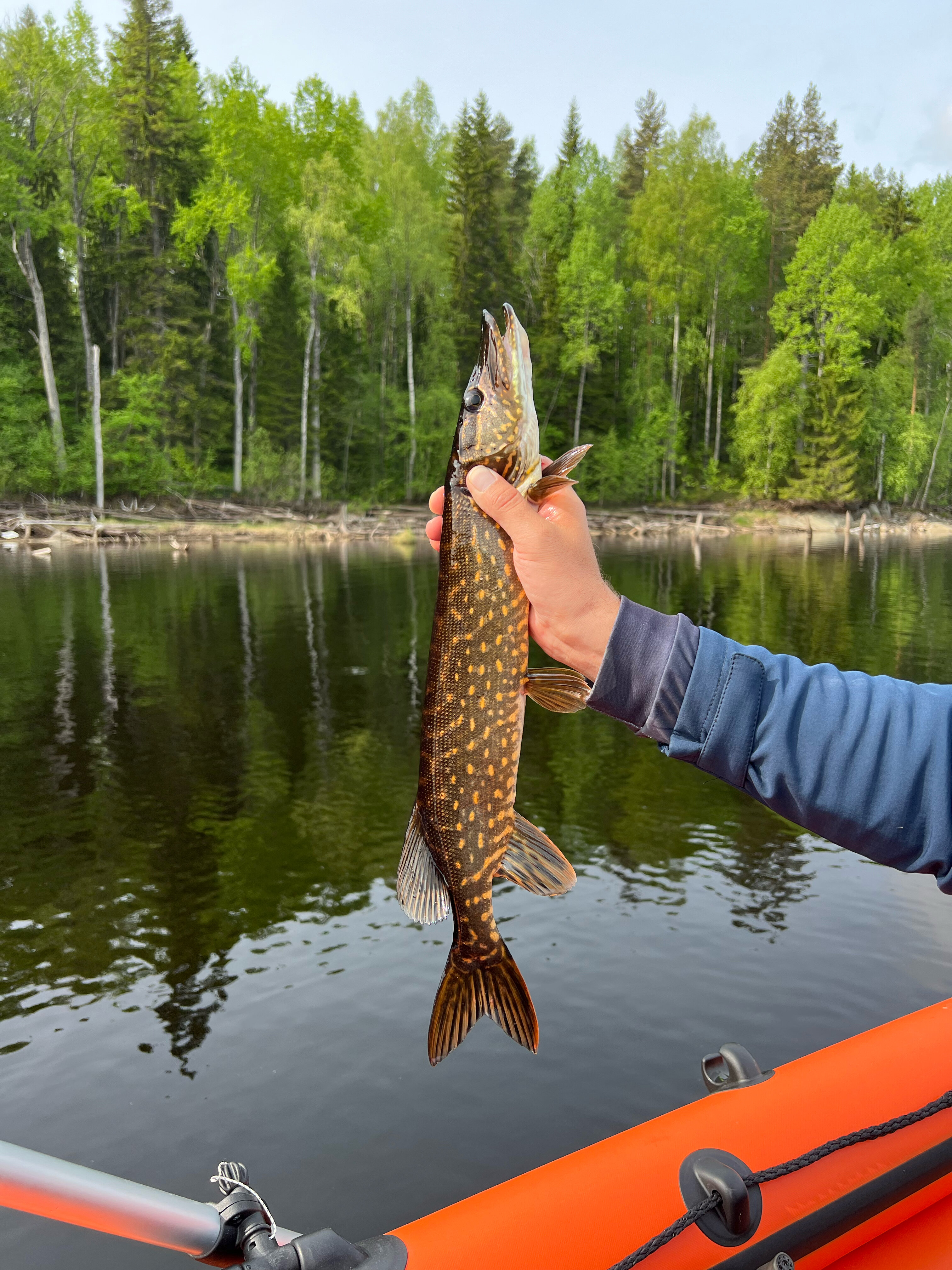 Фото Турбаза Сегозеро