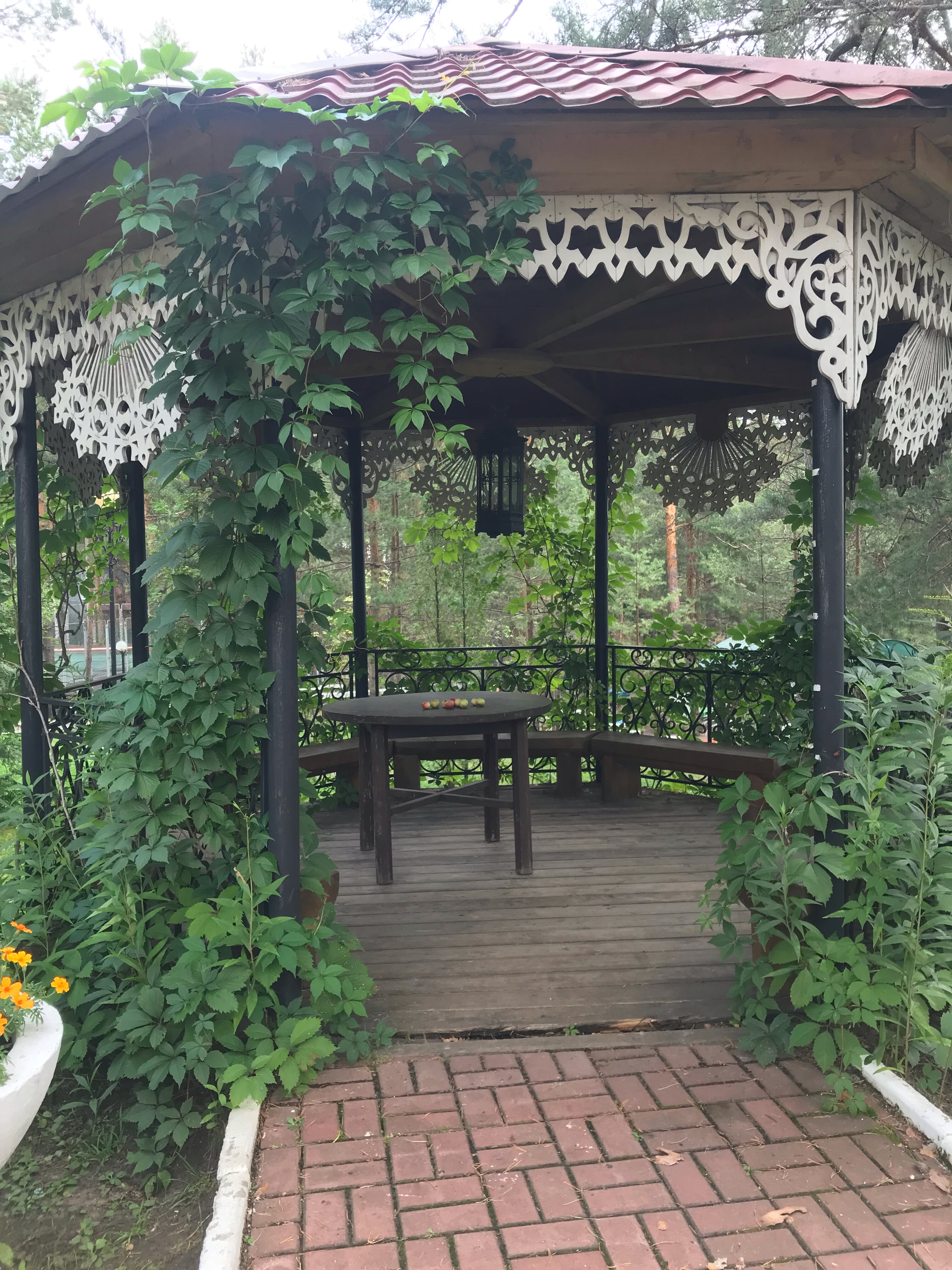 Фото Росинка