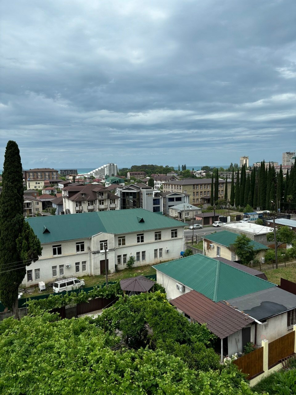 Фото Мандариновый Сад