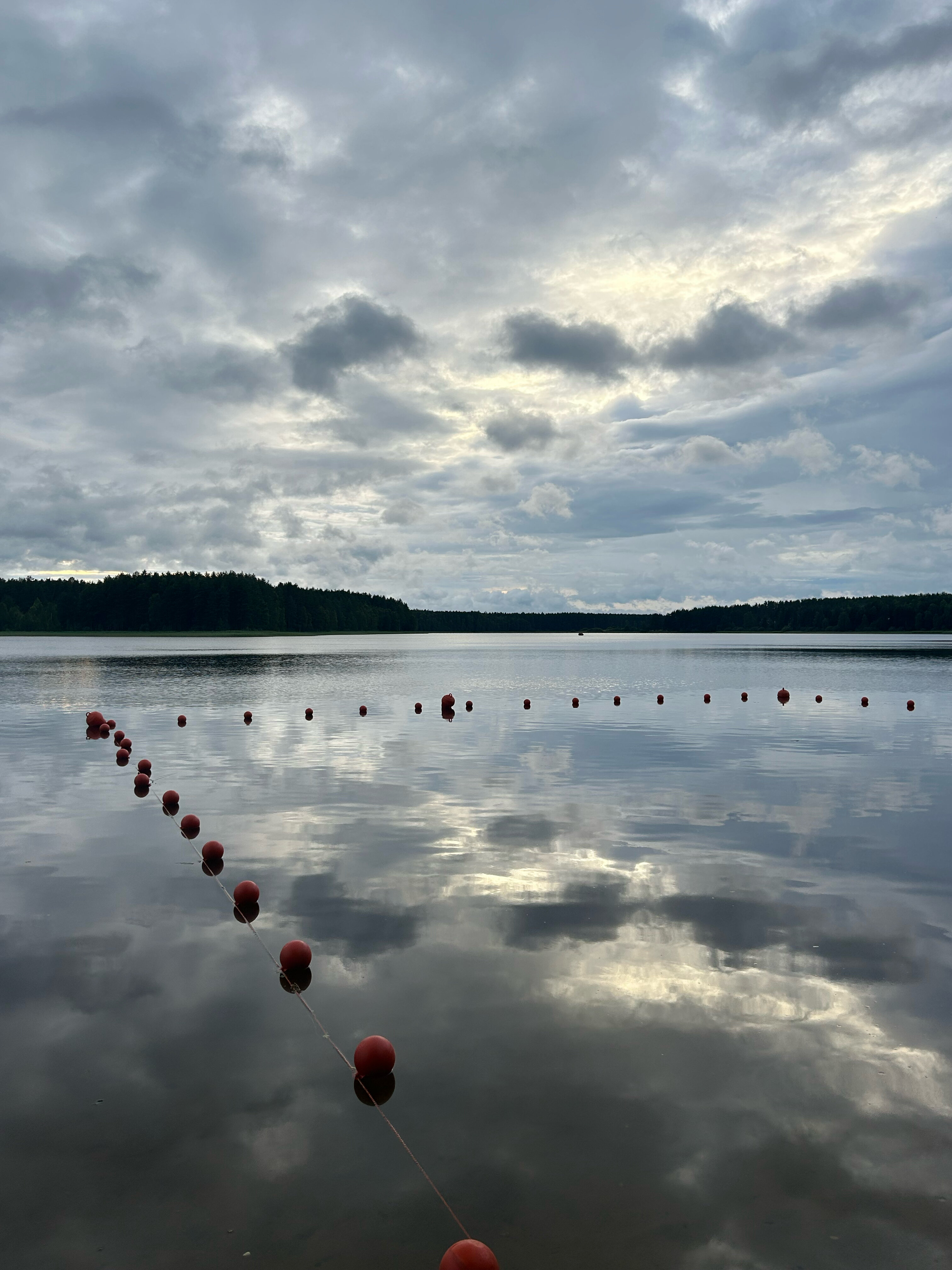 Фото Селигерский бережок