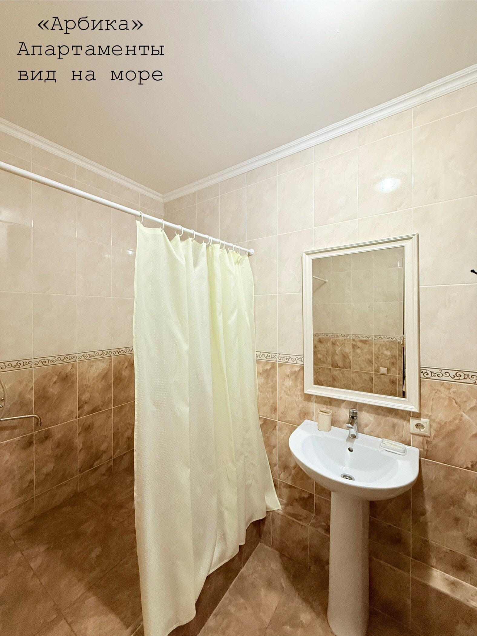 Фото Арбика