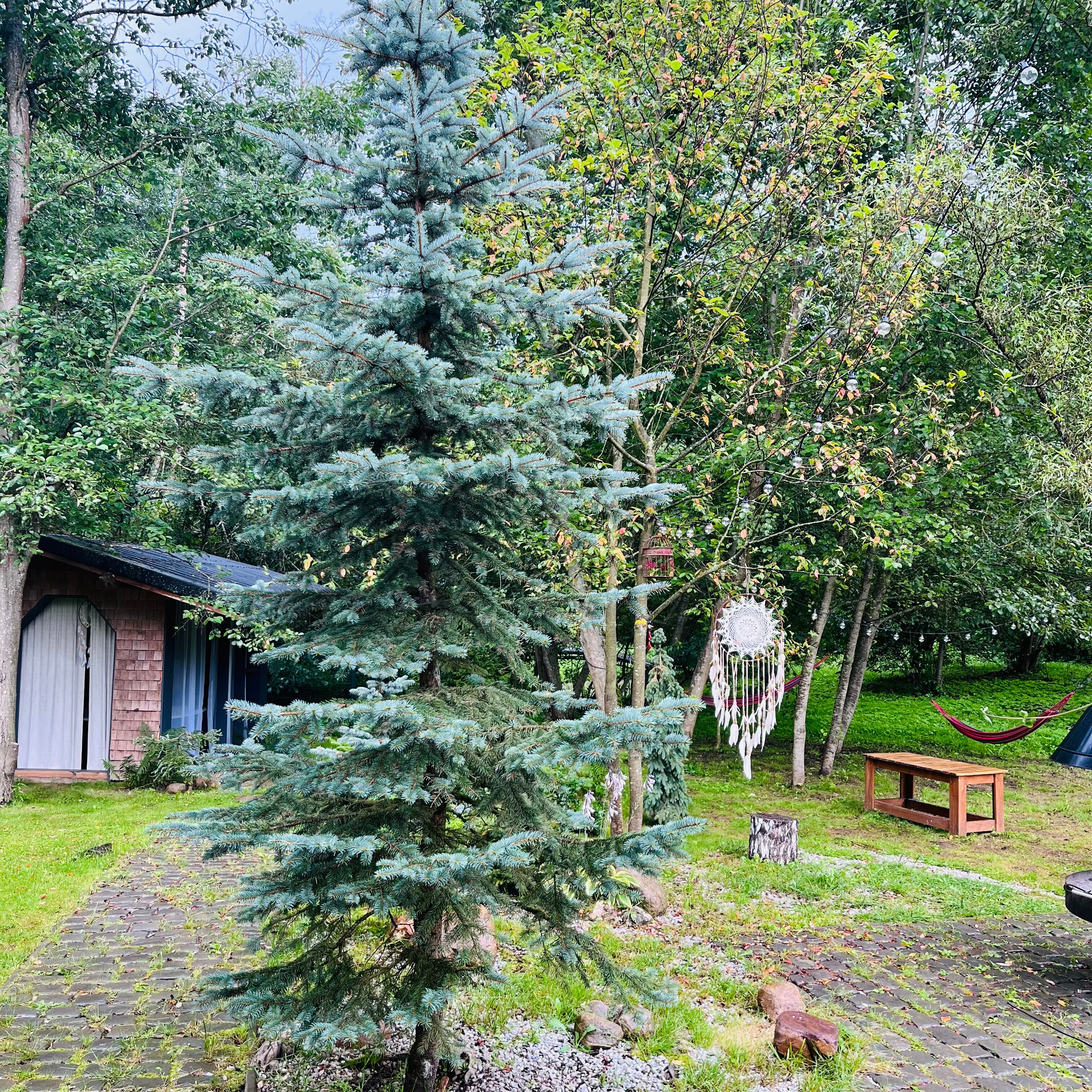 Фото Ловец Снов