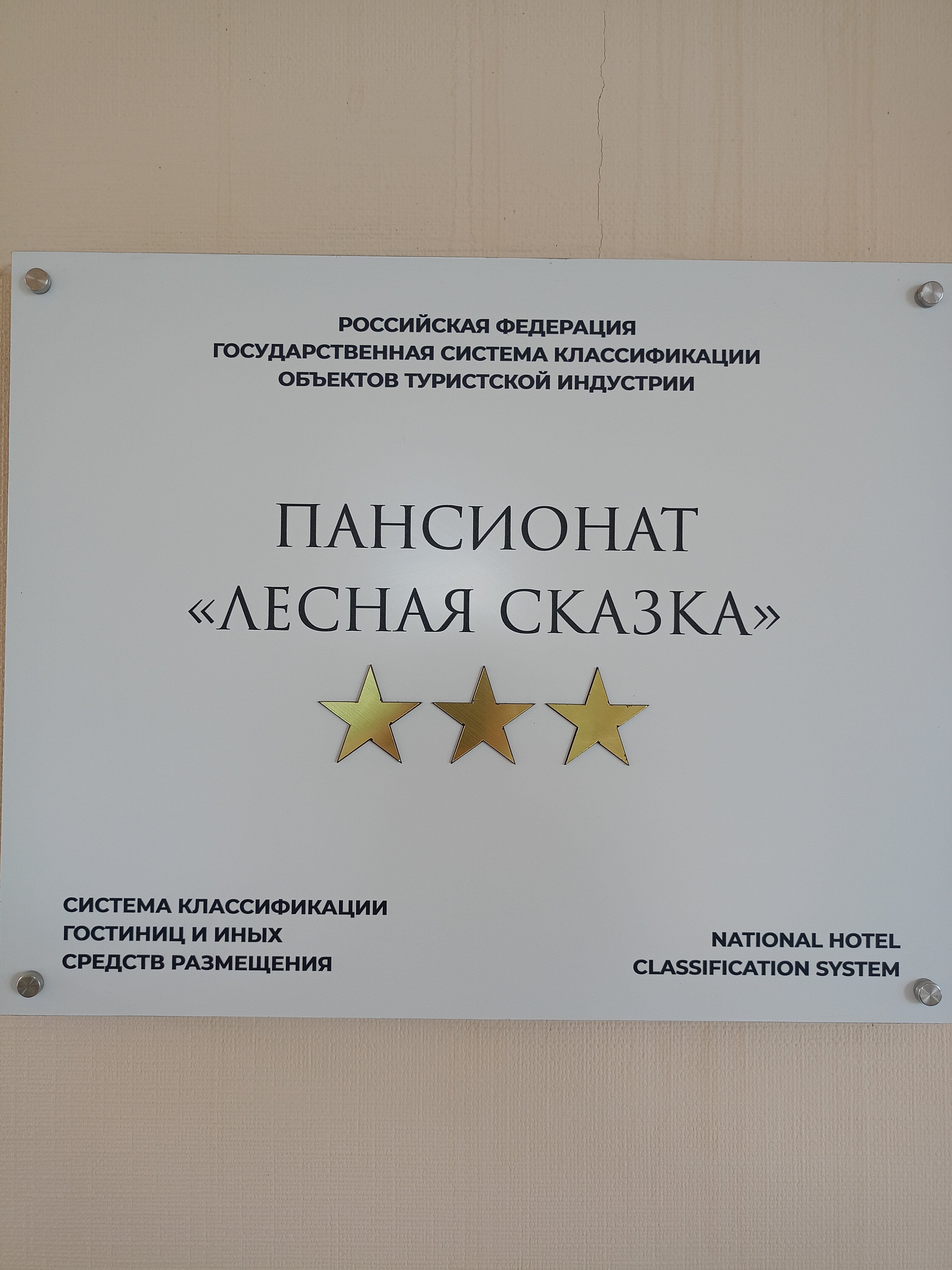 Фото Лесная сказка