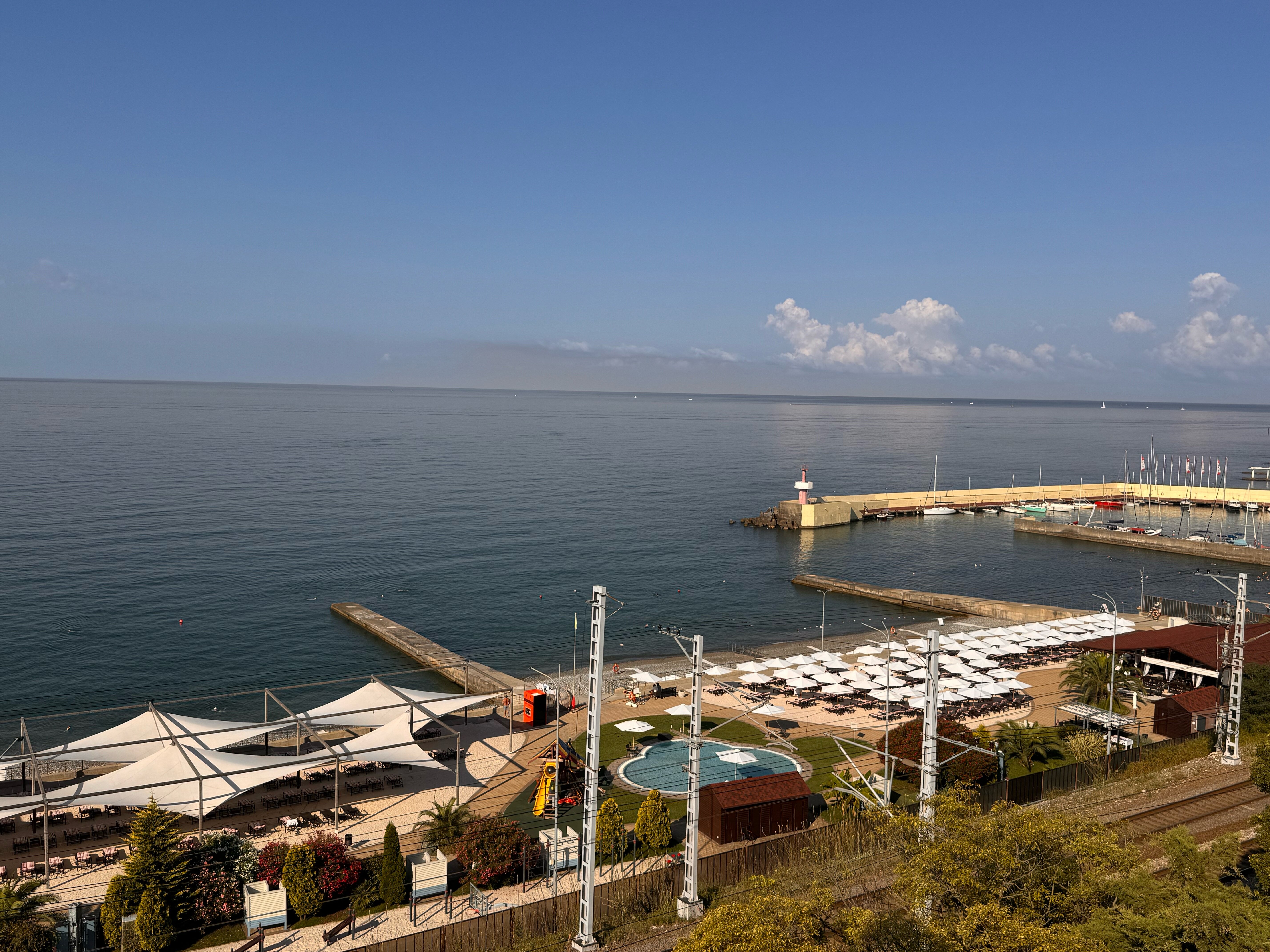 Фото Пеликан