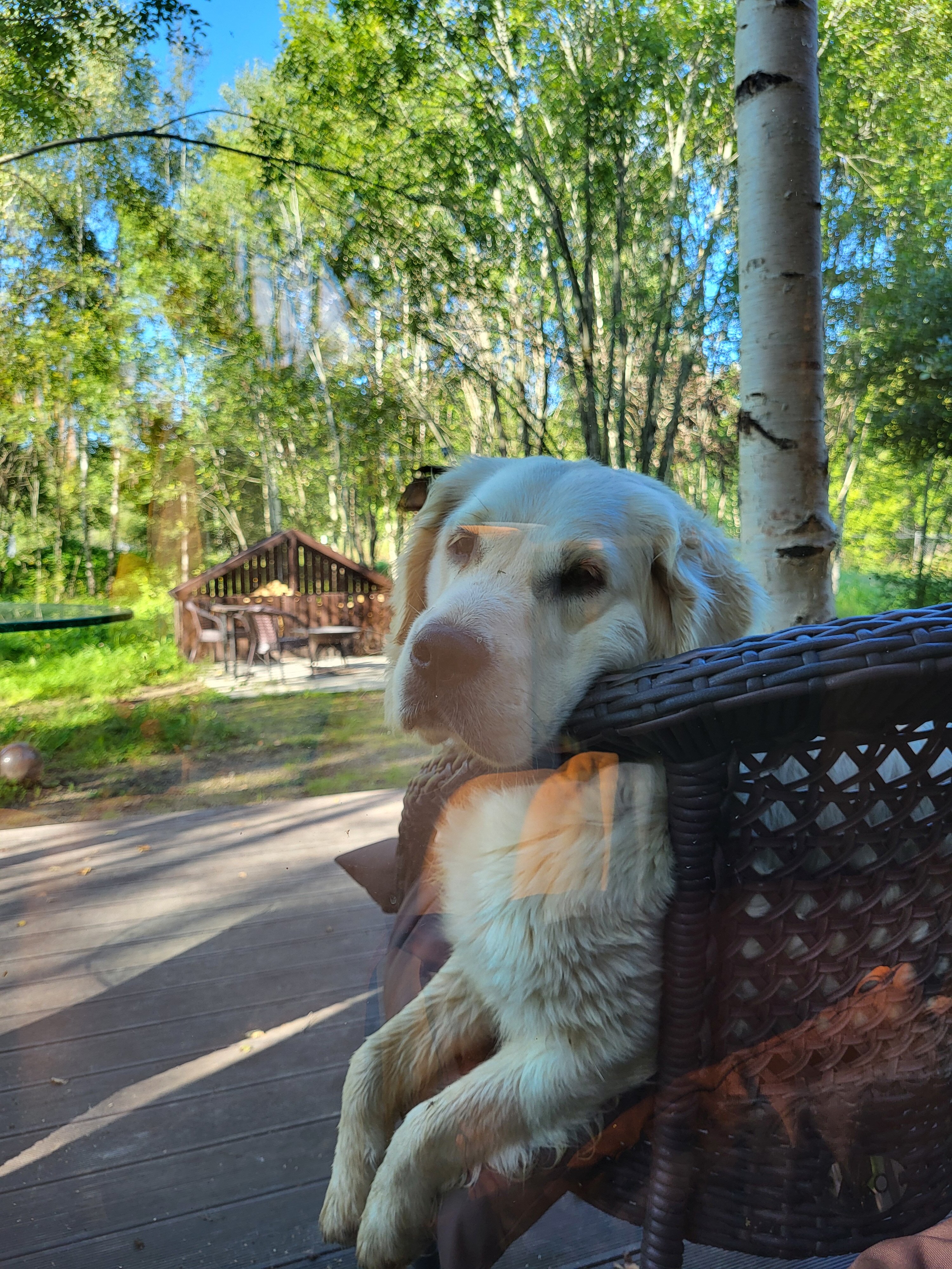 Фото Парк Север