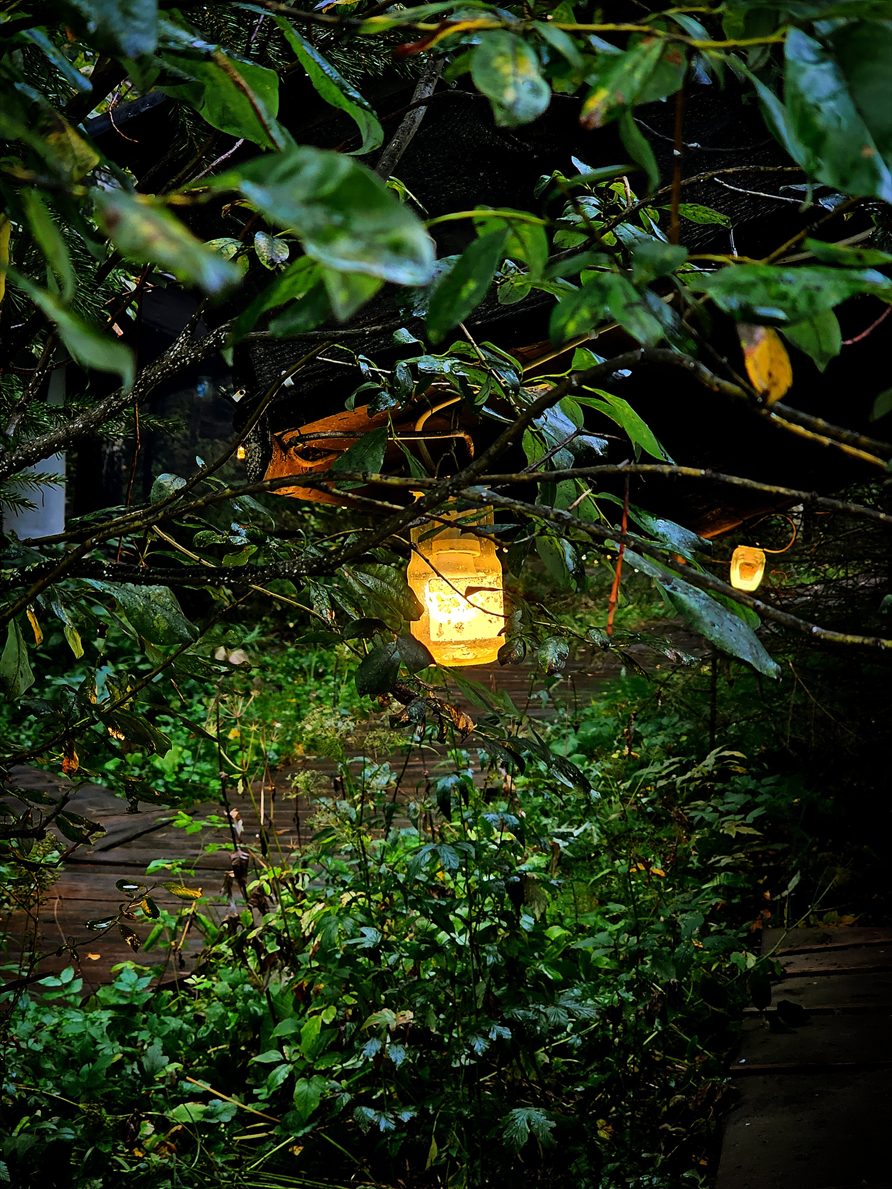 Фото Деревня Хоббитов на Белой