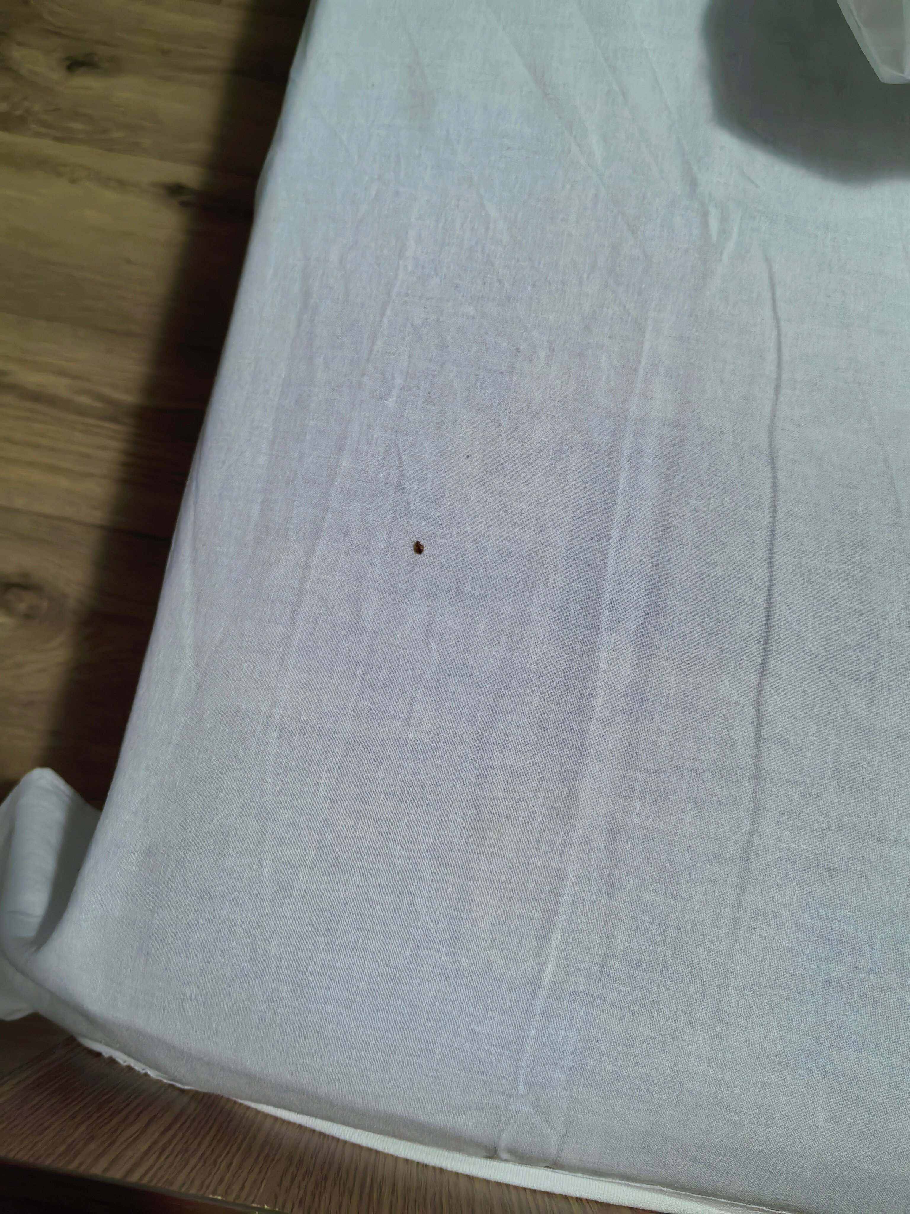 Фото Эверест