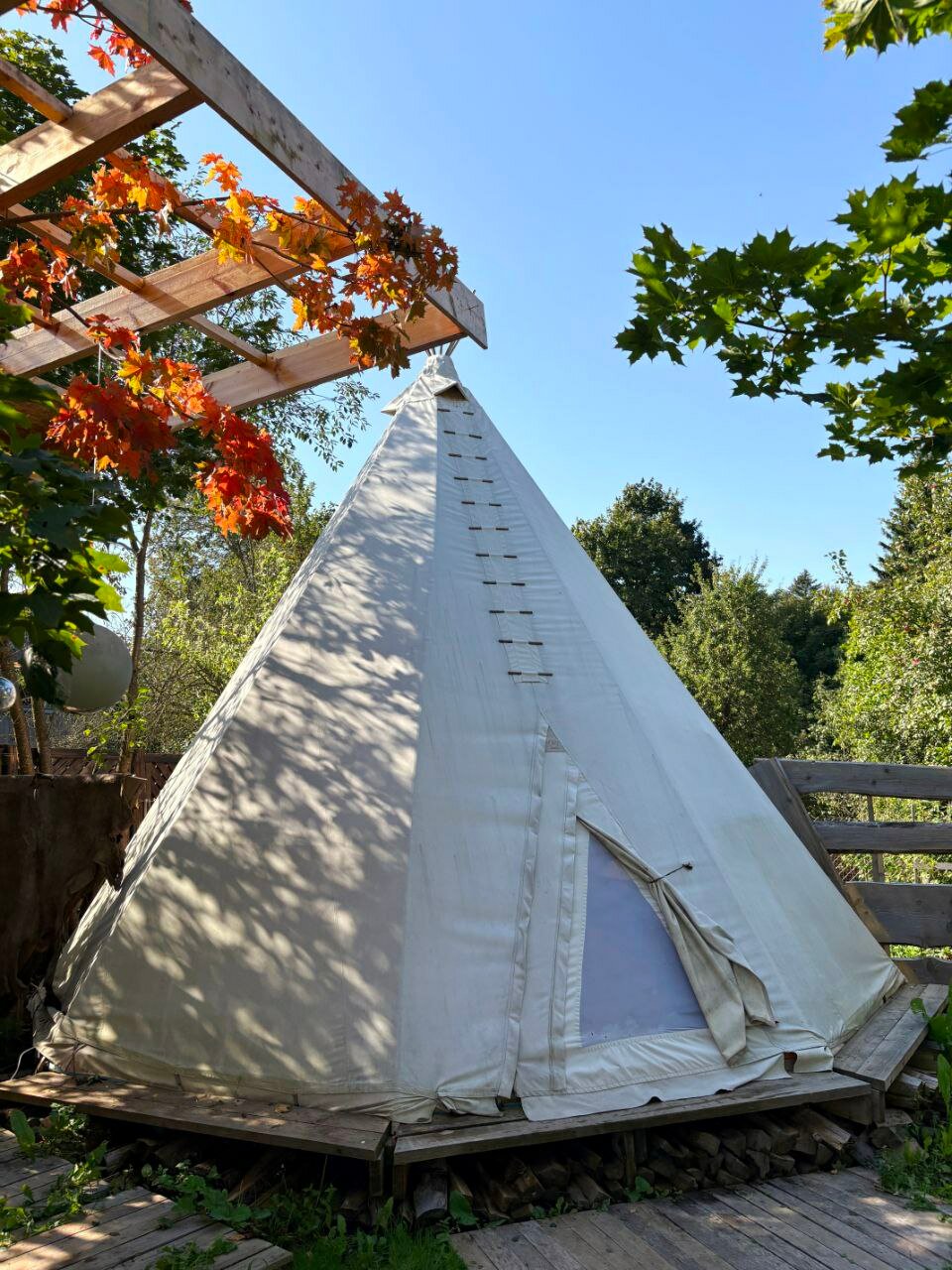 Фото Семейная мини-ферма Фазенда