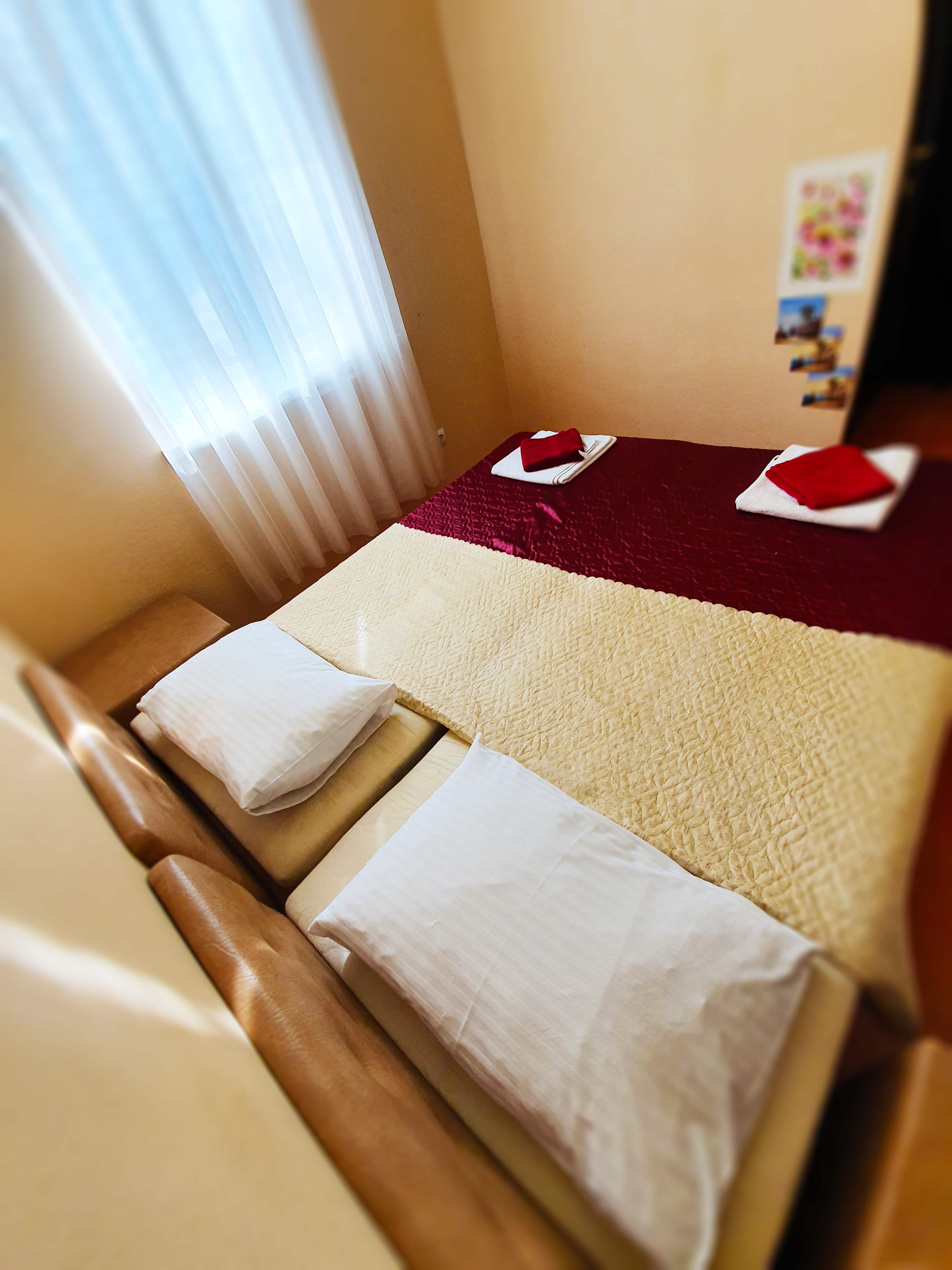 Фото Гостевой дом Пальма