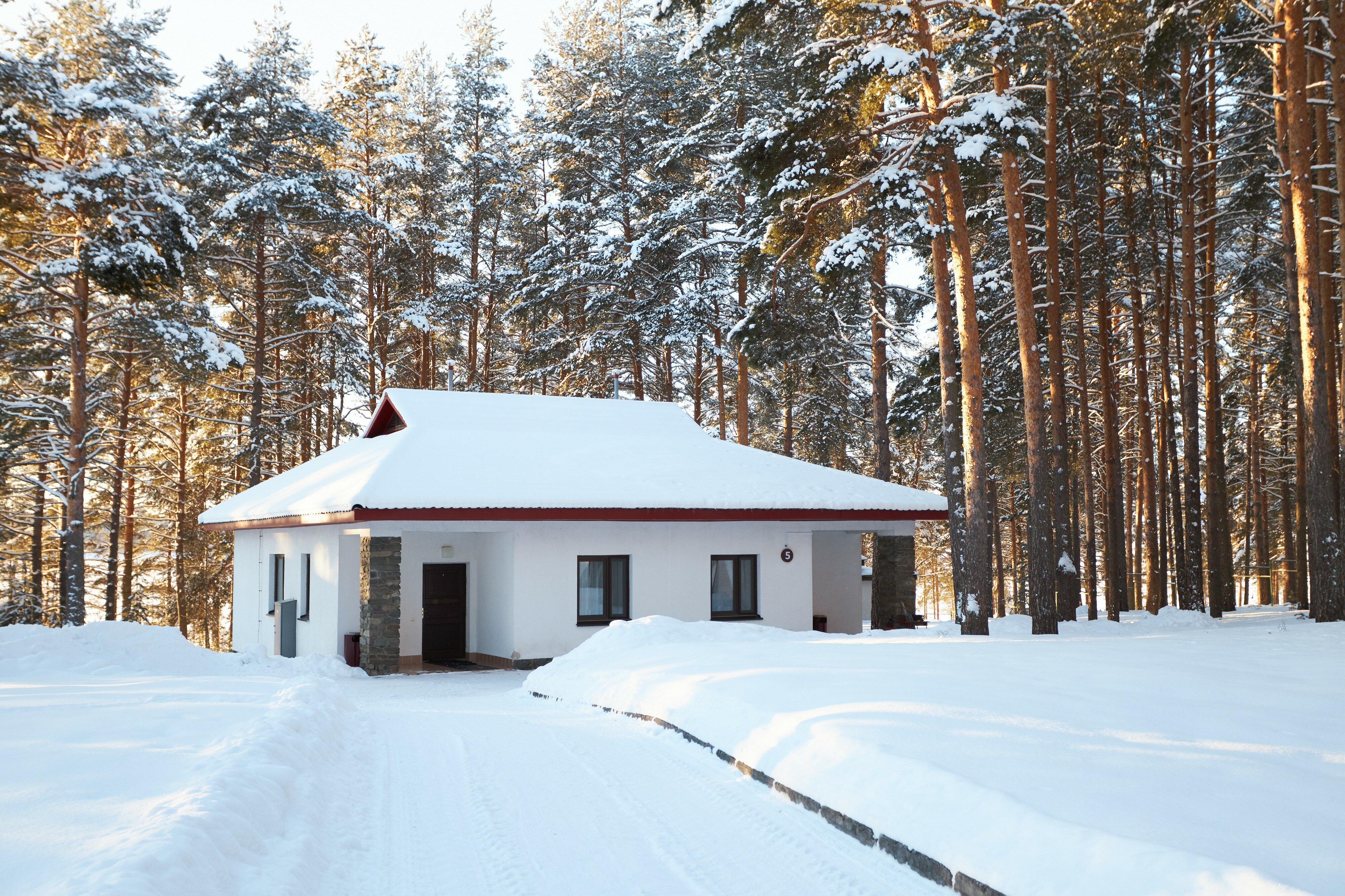 Фото Cosmos Karelia