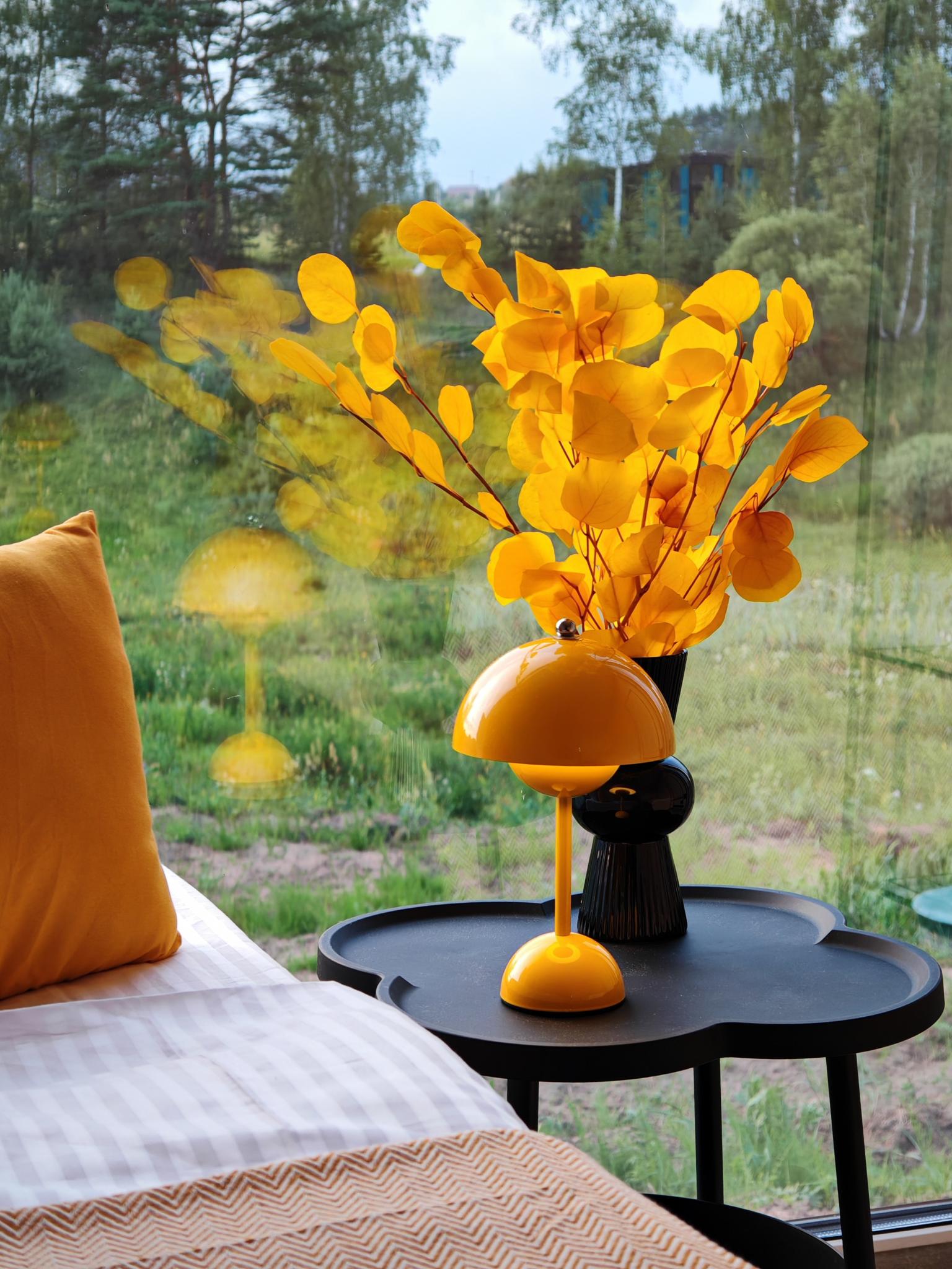 Фото Берег Отражений