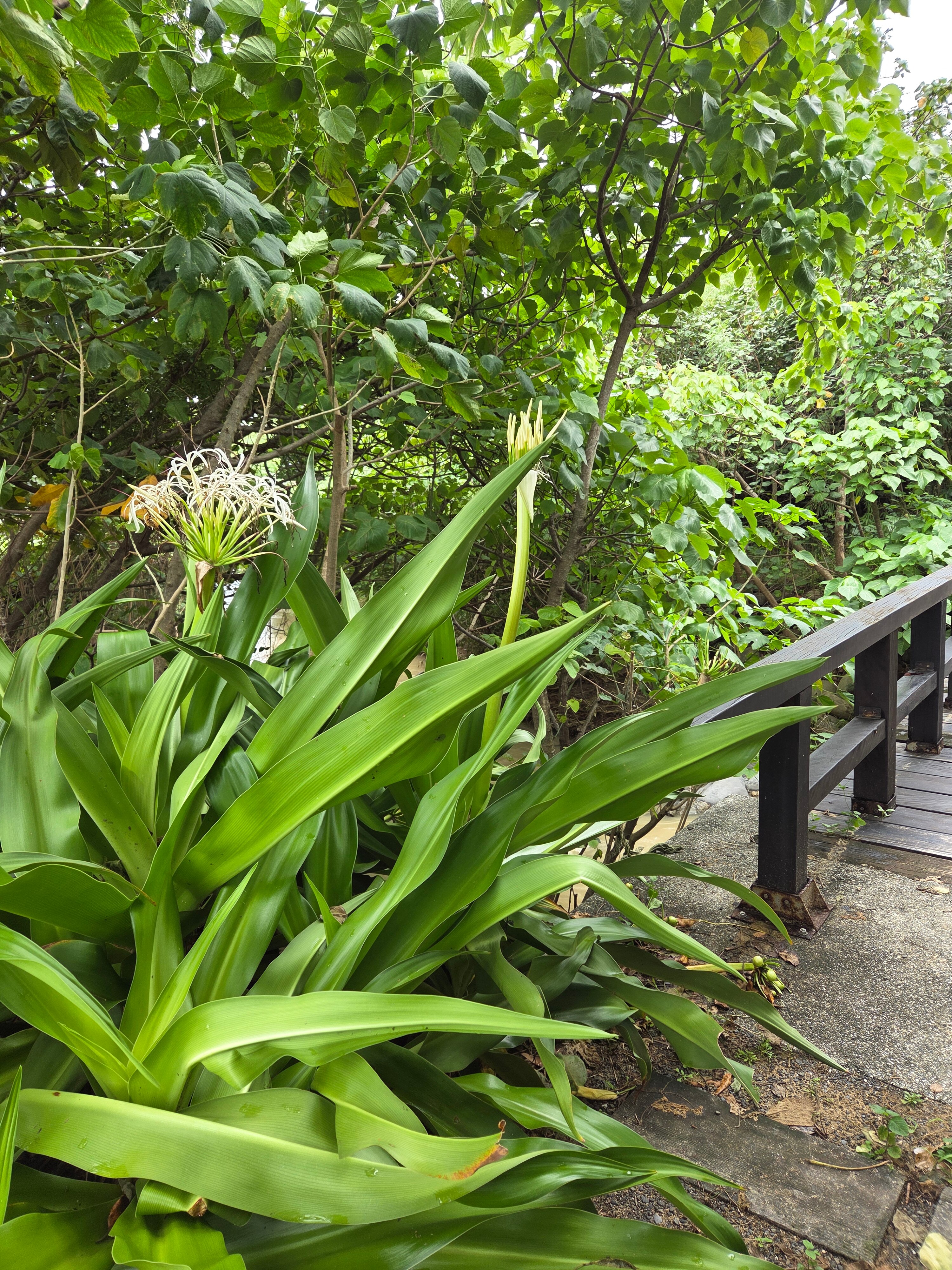 Фото Caesar Park Kenting