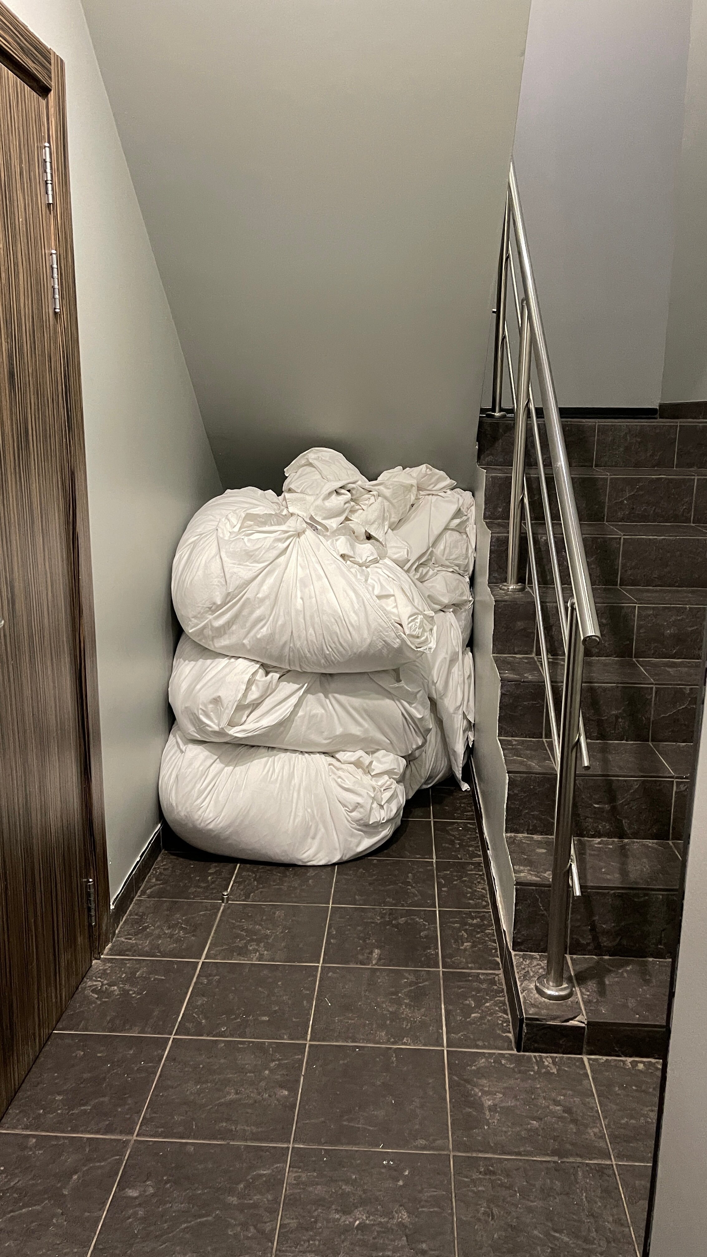 Фото Багратион