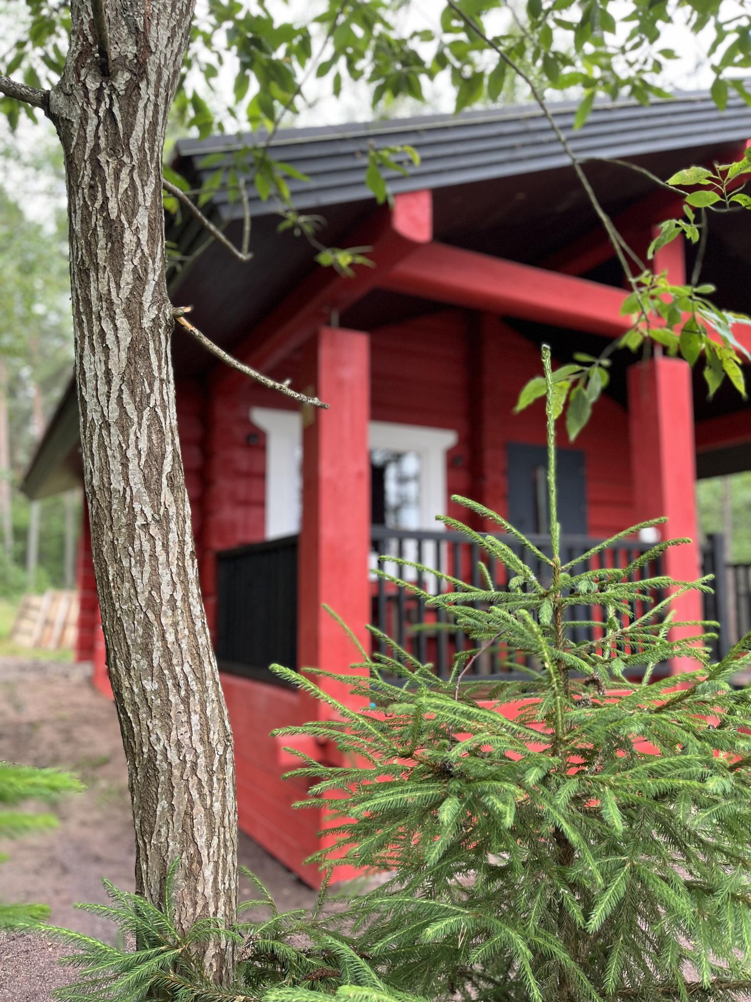 Фото Янтарный Берег