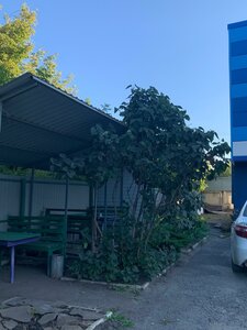 Гостиница Лебедь