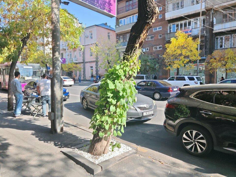 Payment terminal Idram terminal, Yerevan, photo