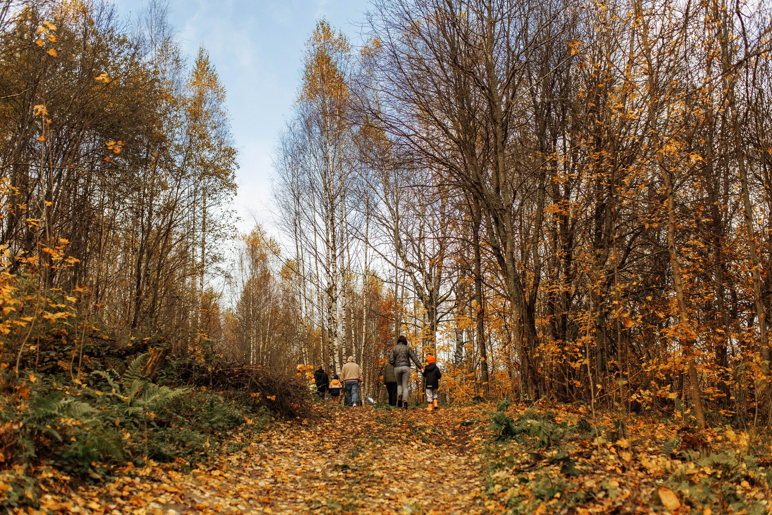 Фото Усадьба Кожиных