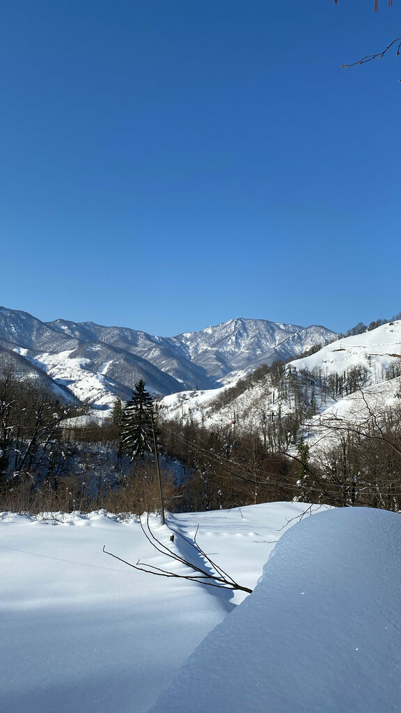 Hotel Borcka Serefiye Village - Oxordia, Borcka, photo