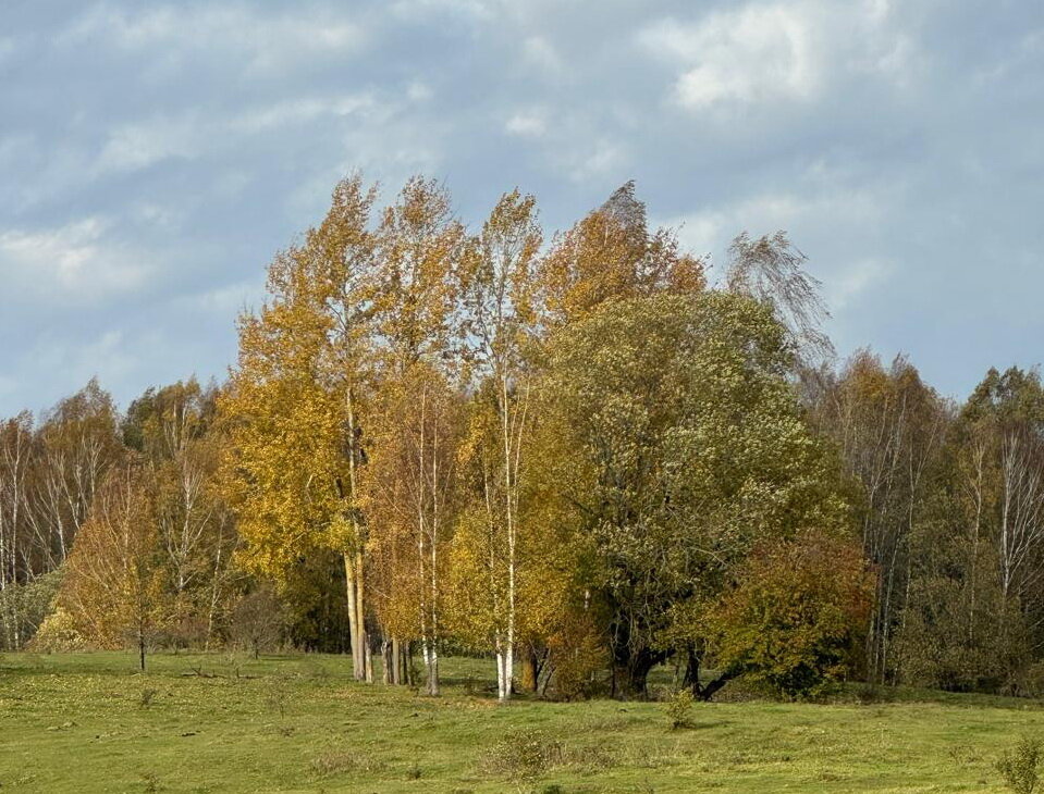 Фото Точка 177