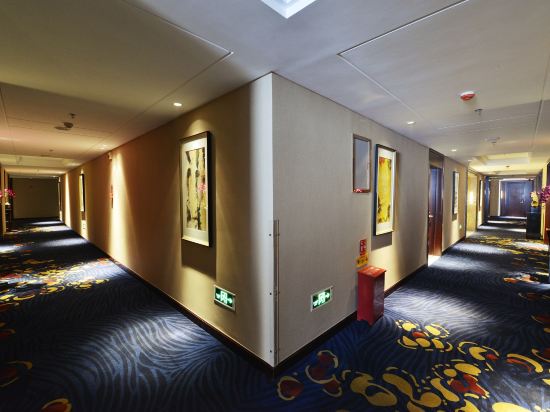 Фото Soluxe Hotel