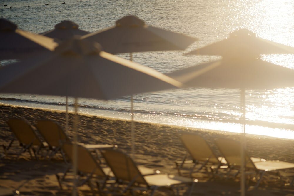 Фото Astor Garden 