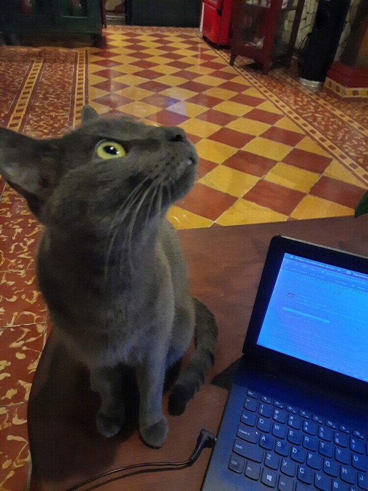 Фото 49357855274