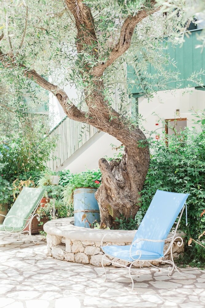 Фото Afroditi Pansion