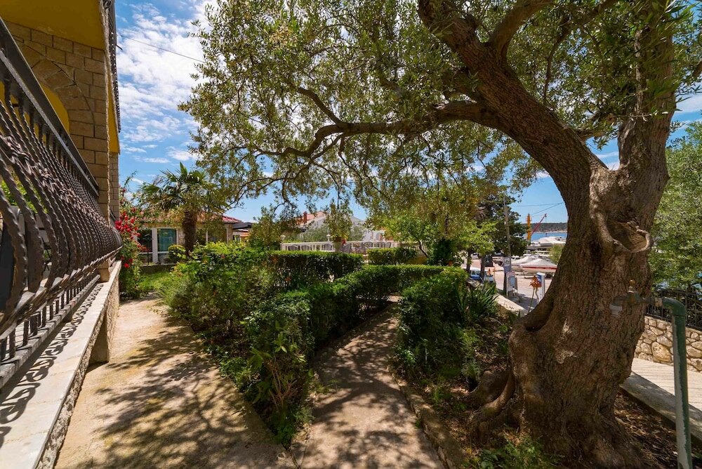 Фото Captain's Club