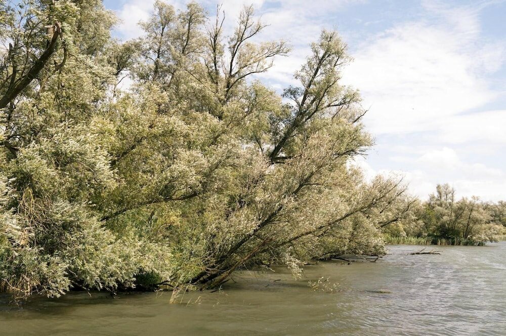 Фото A-Hotel Oosterhout