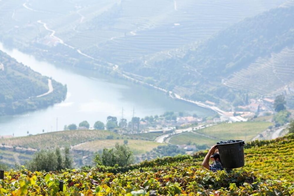 Фото Casa de Casal de Loivos