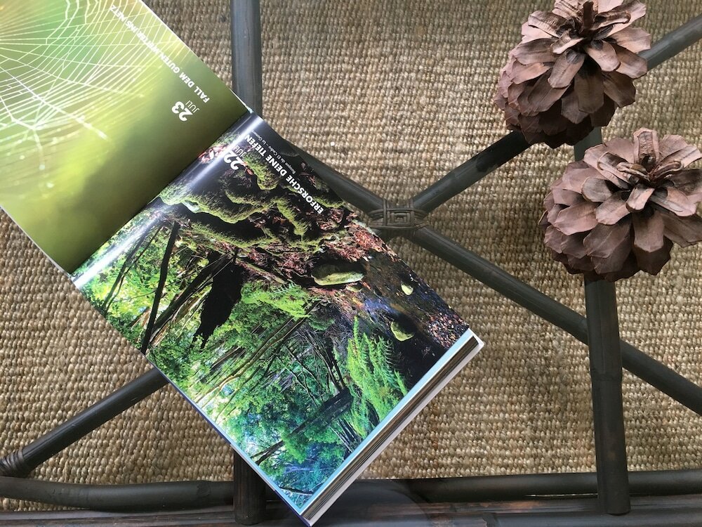 Фото Apartamentos Los Telares