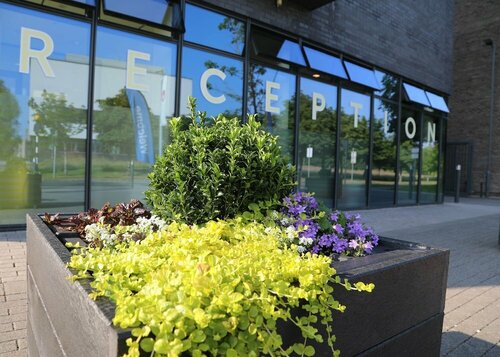 Гостиница Corrib Village в Голуэй