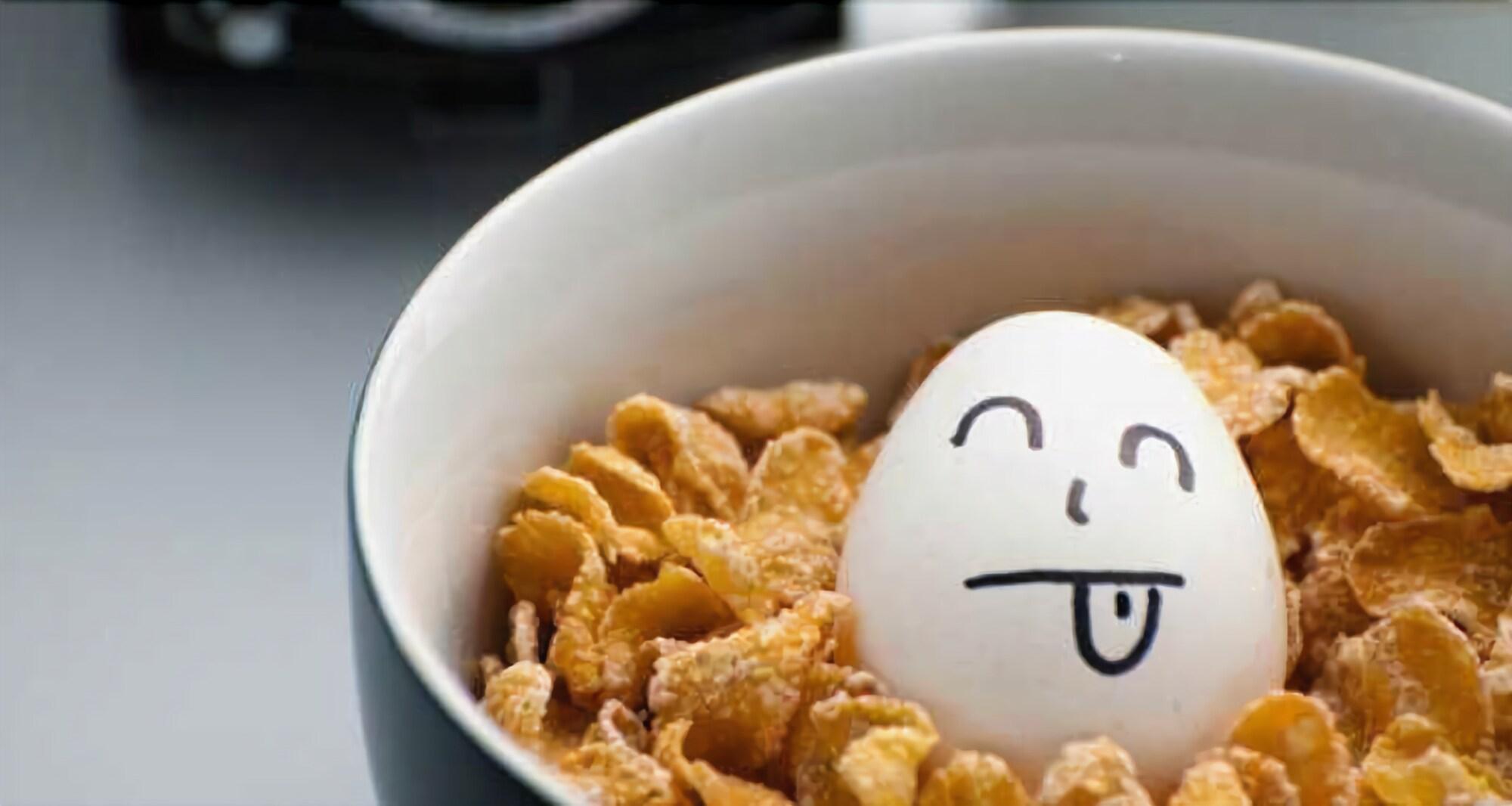 Фото Hostels MeetingPoint