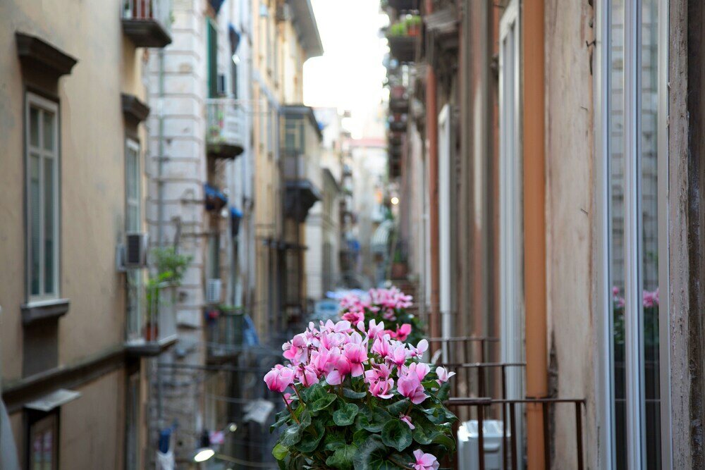 Фото Napoli Time