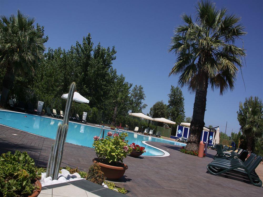 Фото Hotel Acquario