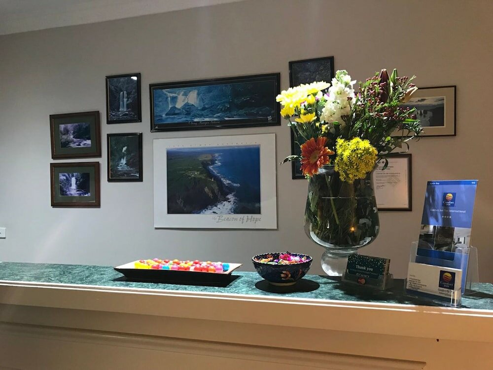 Фото Comfort Inn The International