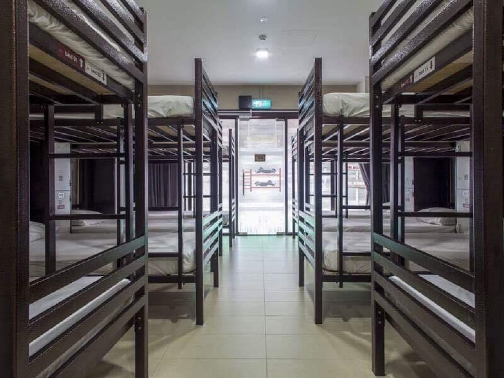 Фото Adamson Lodge - Hostel