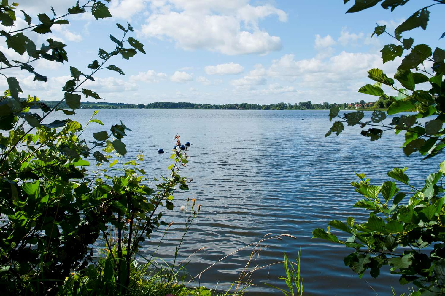 Фото Golf Hotel Viborg