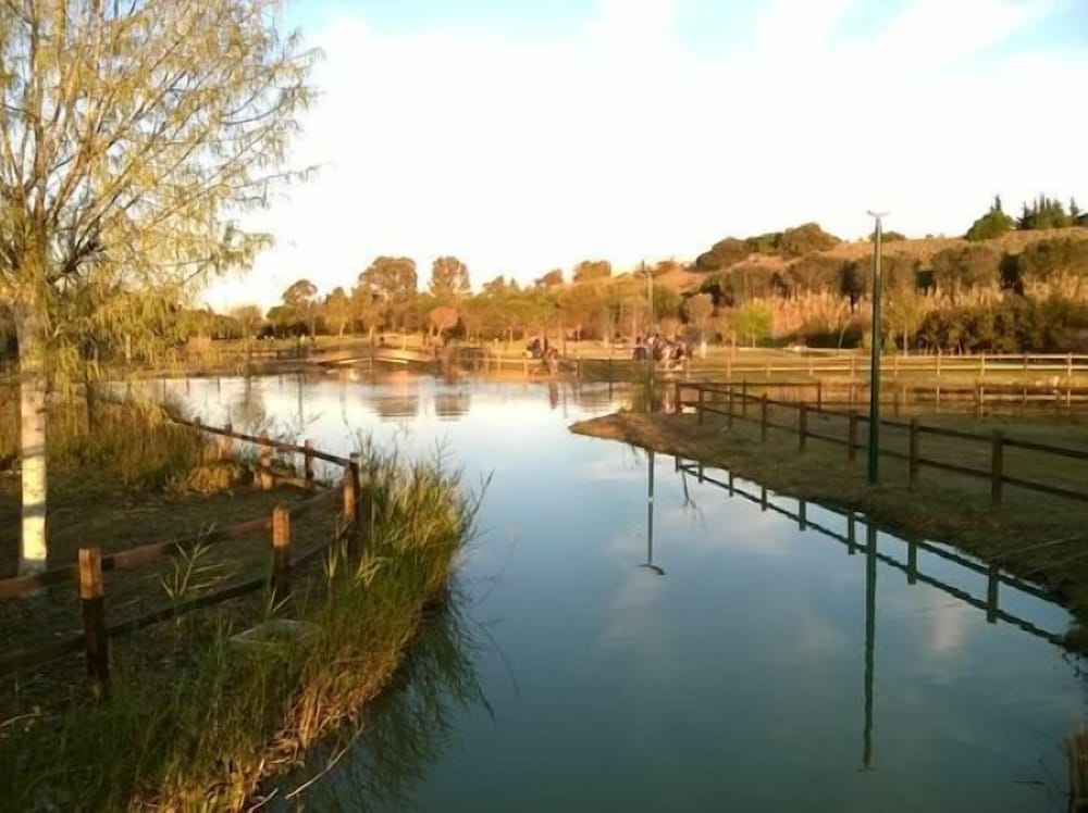 Фото Hotel Residence Nemo