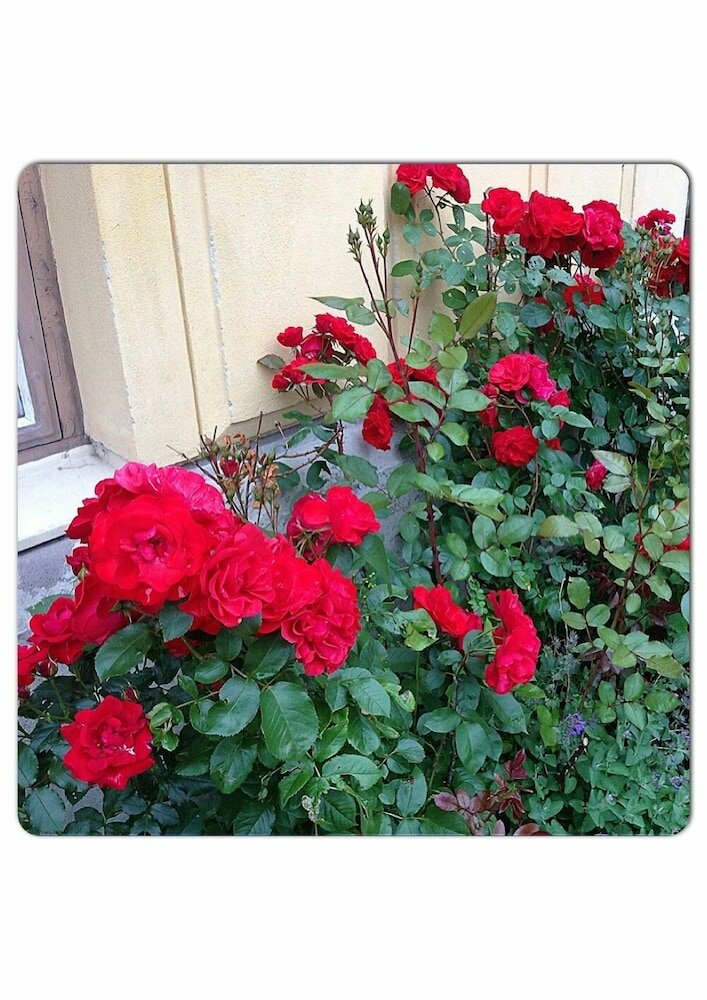 Фото Statt Kristinehamn