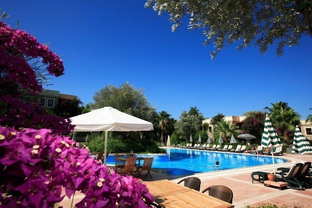 Фото Zeytinada Hotel