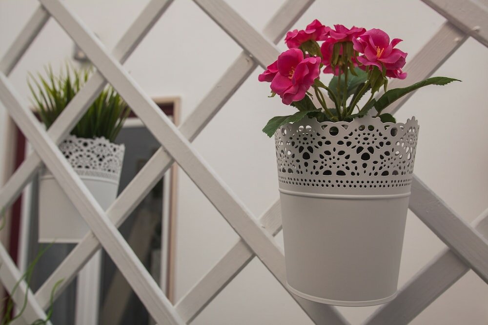 Фото Thomar Story