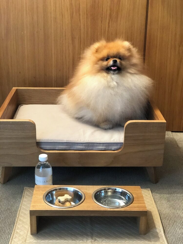 Фото Hotel Emiliano