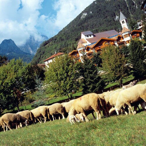 Внешний вид отеля Du Lac Vital Mountain Hotel в Мольвено, фото 2