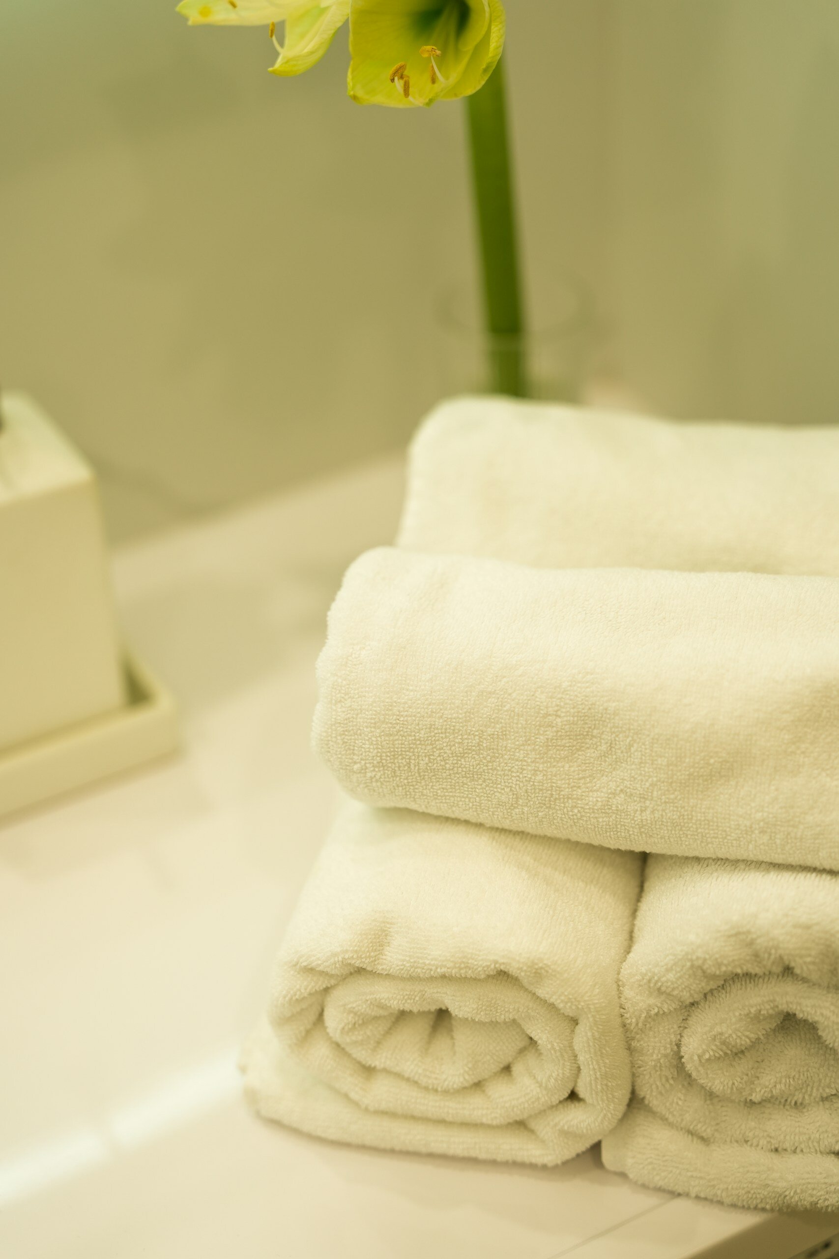 Фото Гарден