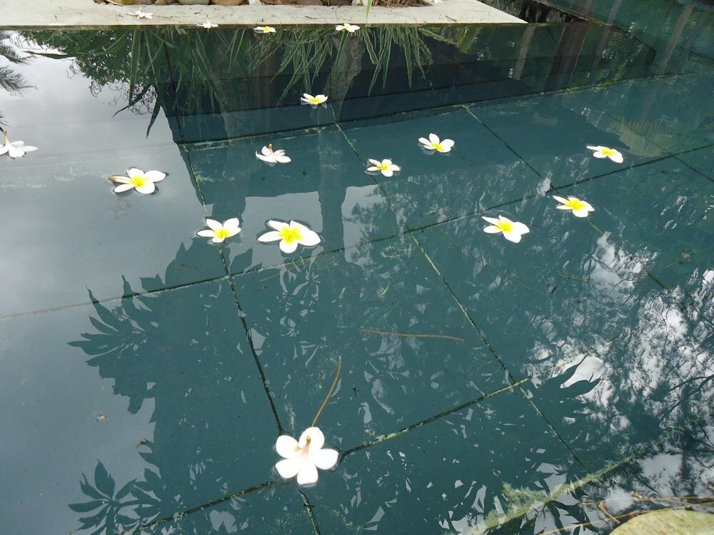 Фото Hotel Krishna