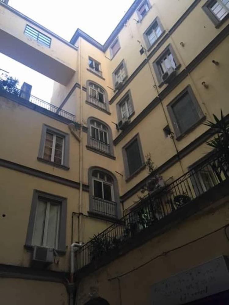 Фото Royal Gismonda