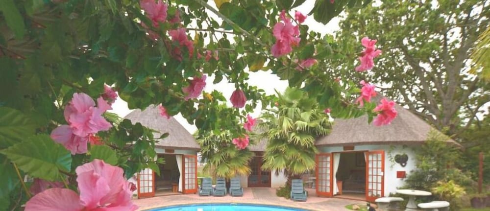 Фото French Lodge International