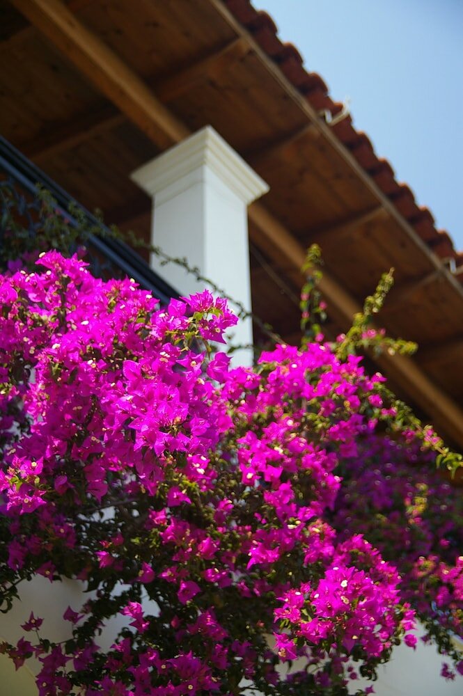 Фото Marialice Apartments